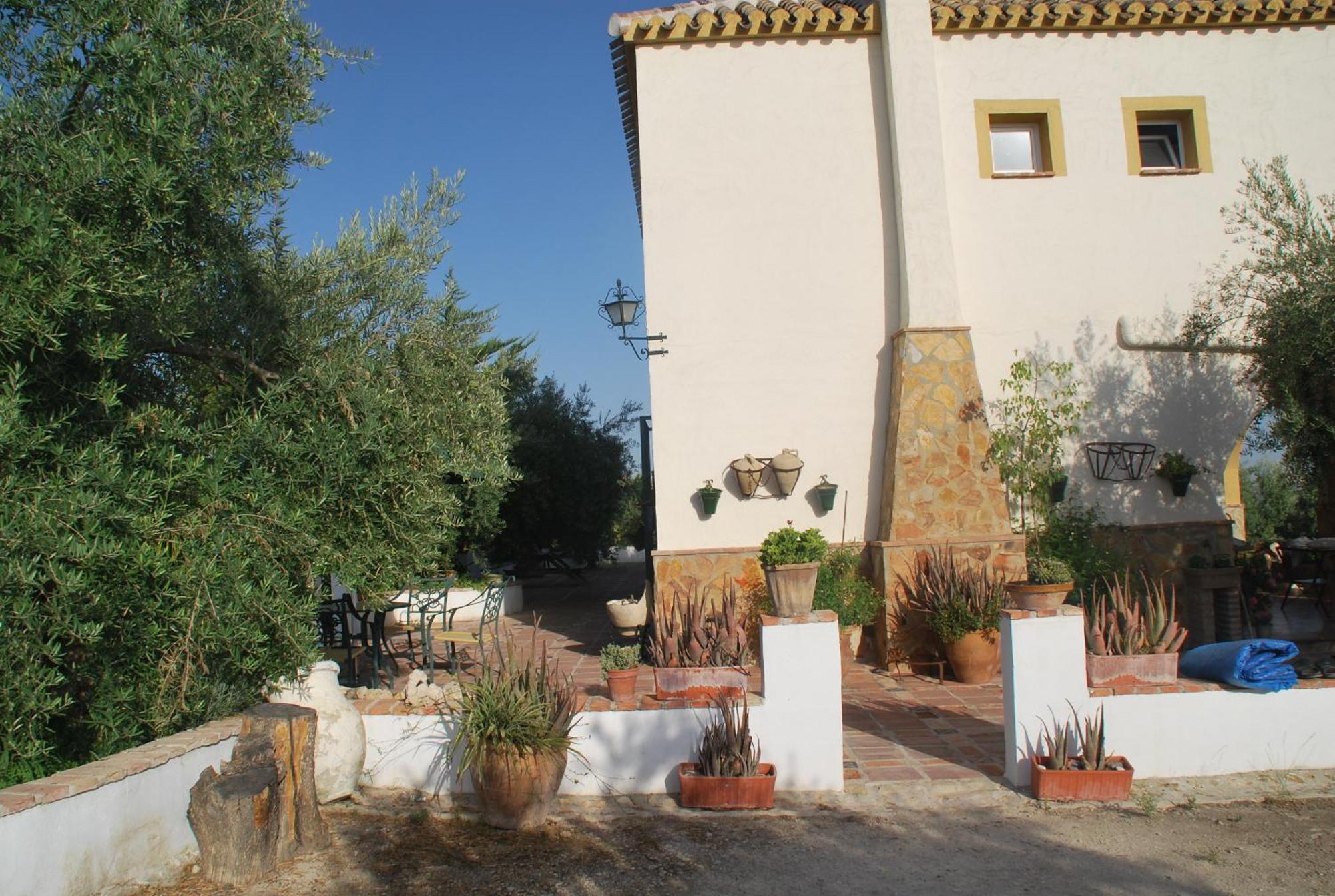 Agroturismo Ecologico El Cortijillo Luque Eksteriør billede