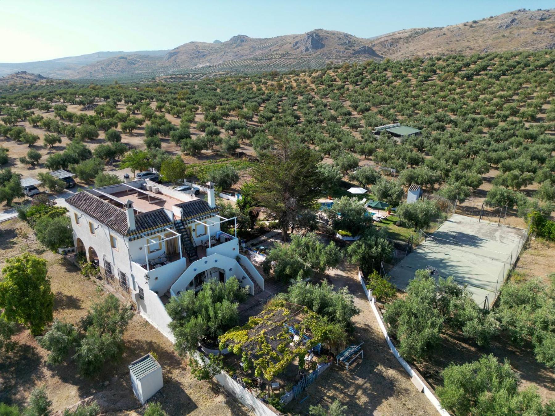 Agroturismo Ecologico El Cortijillo Luque Eksteriør billede