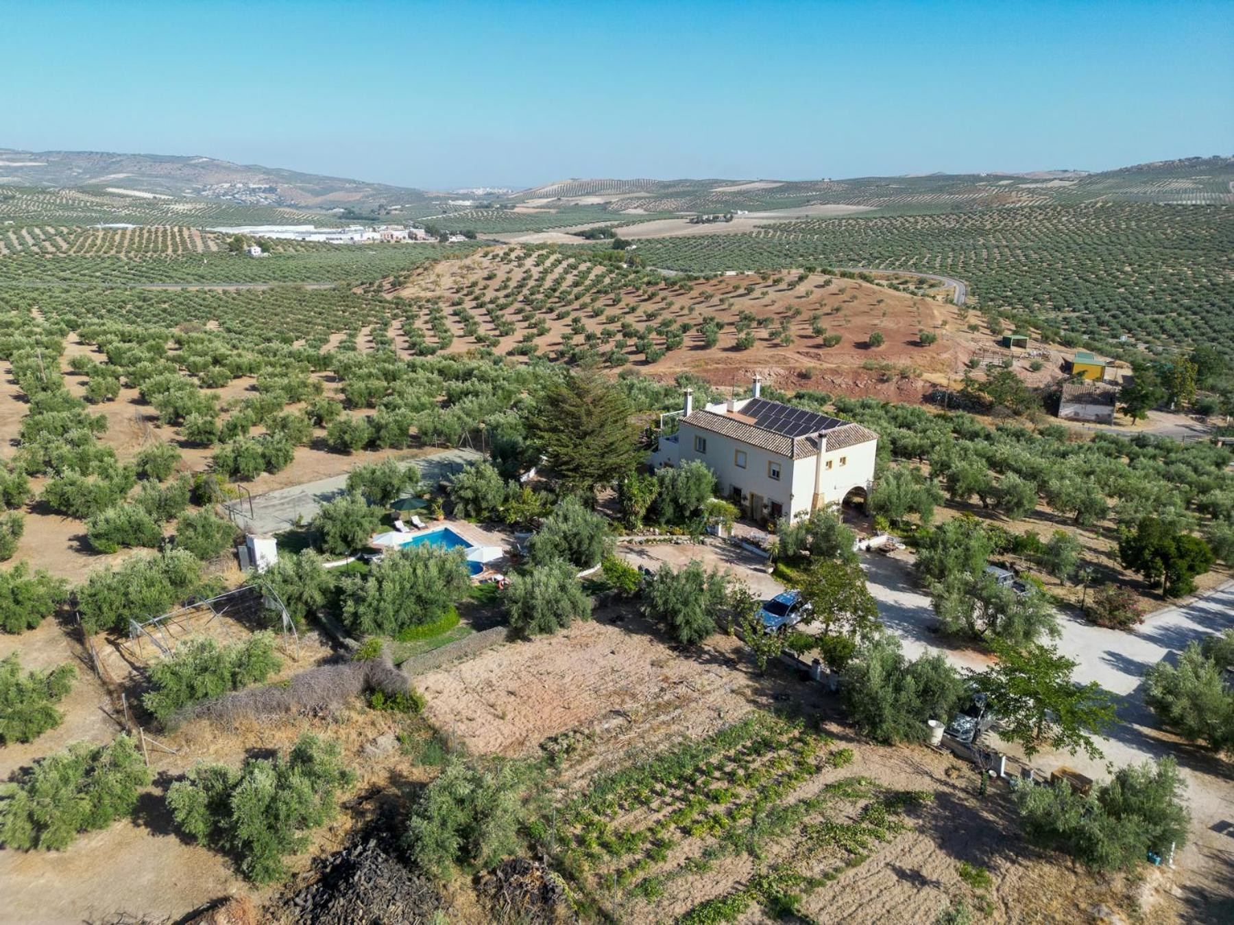 Agroturismo Ecologico El Cortijillo Luque Eksteriør billede