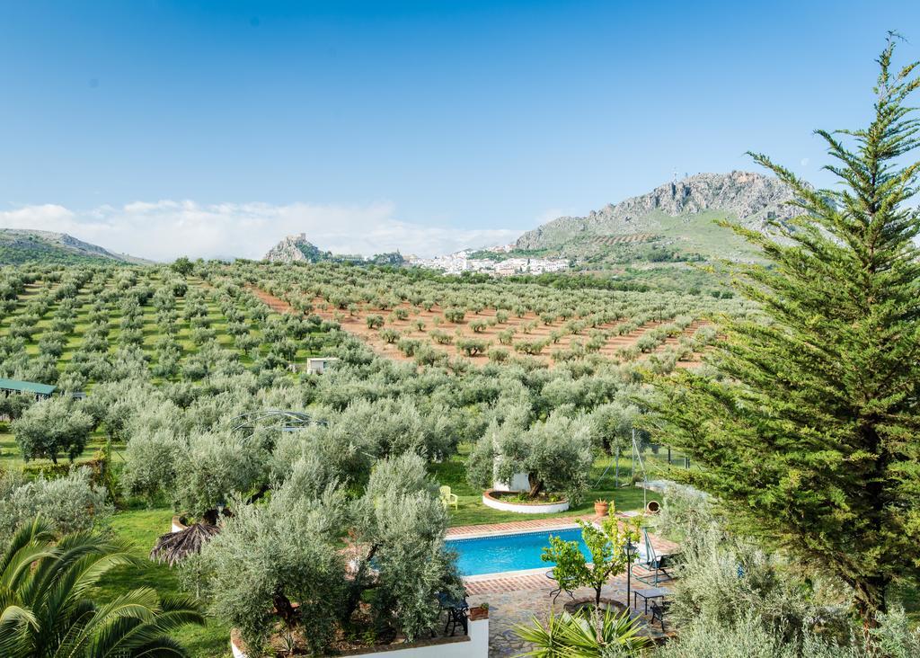 Agroturismo Ecologico El Cortijillo Luque Eksteriør billede