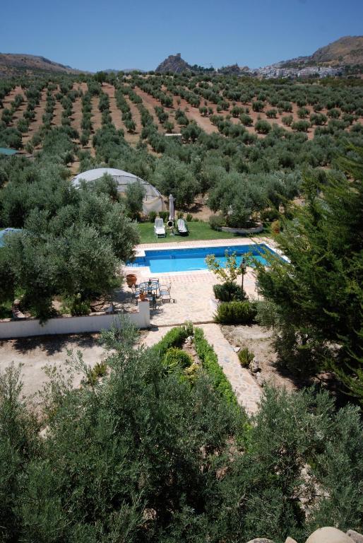 Agroturismo Ecologico El Cortijillo Luque Eksteriør billede