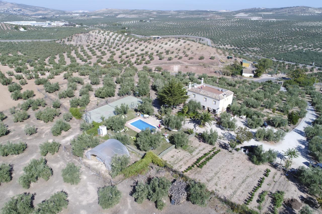 Agroturismo Ecologico El Cortijillo Luque Eksteriør billede